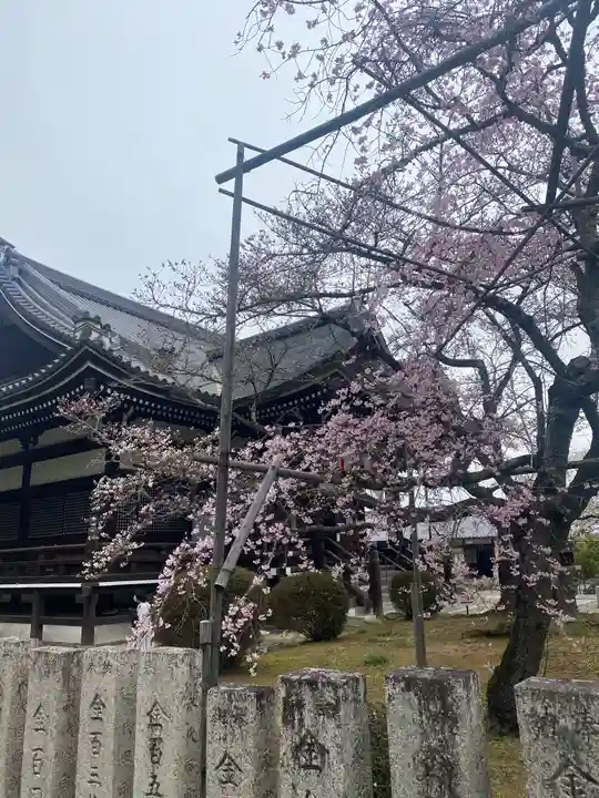橘寺の庭園