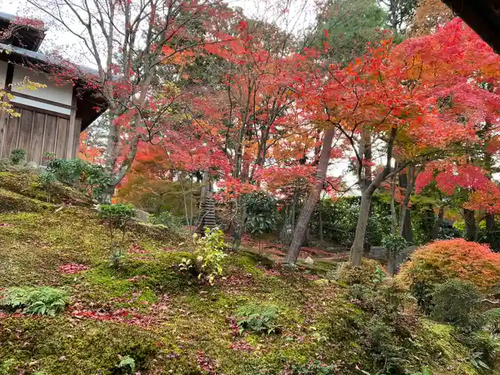 正覚庵(京都府)