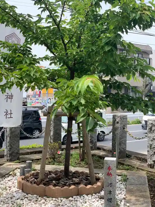 嶺白山神社の自然