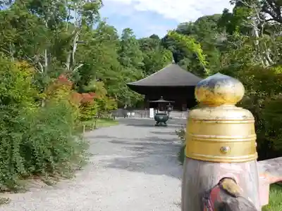 白水阿弥陀堂の本殿・本堂