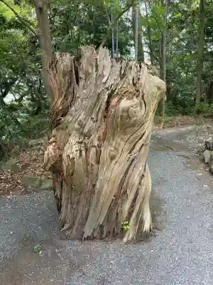 龍尾神社(静岡県)