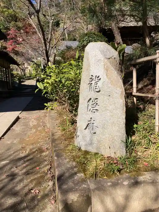 龍隠庵の建物その他