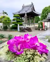 真言宗 善通寺派 薬王寺(香川県)