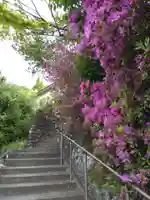 石内のお大師さん 金剛院の自然