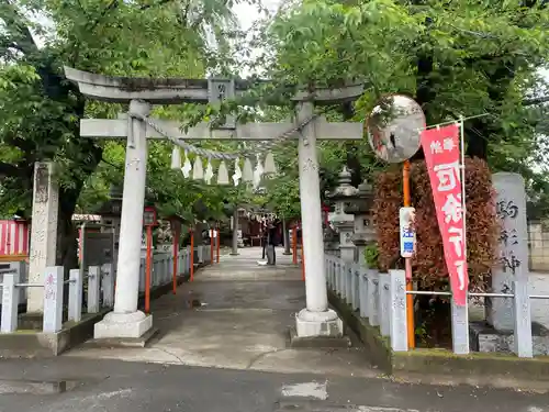 駒形神社(群馬県)