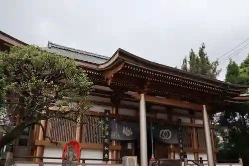 善楽寺の本殿・本堂