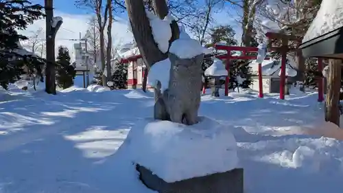 空知神社の狛犬