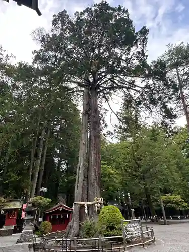 北口本宮冨士浅間神社(山梨県)