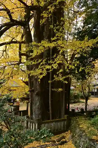 瑞応寺(愛媛県)