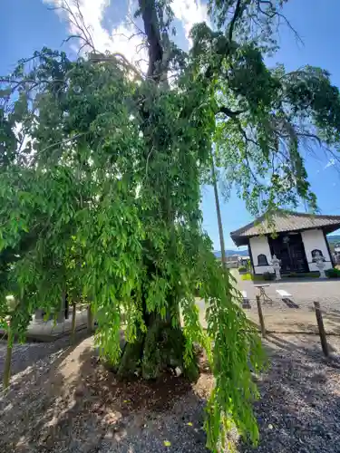 満願寺(栃木県)