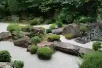 退蔵院(京都府)