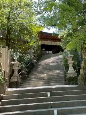 天河大辨財天社の{uncategorized: "未分類", other: "その他", undefined: "問題あり", building: "その他建物", grave: "お墓", sacred_gate: "鳥居", guardian: "狛犬", statue: "像", buddha: "仏像", history: "歴史", nature: "自然", garden: "庭園", animal: "動物", pagoda: "塔", temizu: "手水舎", mountain_gate: "山門・神門", sanctuary: "本殿・本堂", subordinate: "末社・摂社", art: "芸術", scenery: "景色", jizo: "地蔵", ema: "絵馬", goshuin: "御朱印", omikuji: "おみくじ", items: "授与品その他", amulet: "お守り", goshuincho: "御朱印帳", eats: "食事", festival: "お祭り", votive_dance: "神楽", shichigosan: "七五三参", wedding: "結婚式", experience: "体験その他", initially: "初詣", around: "周辺", anti_infection: "感染症対策"}
