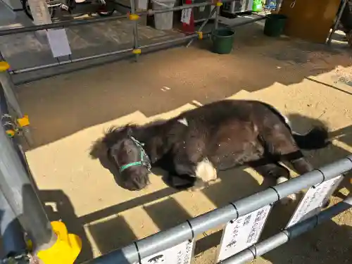 天神社の{uncategorized: "未分類", other: "その他", undefined: "問題あり", building: "その他建物", grave: "お墓", sacred_gate: "鳥居", guardian: "狛犬", statue: "像", buddha: "仏像", history: "歴史", nature: "自然", garden: "庭園", animal: "動物", pagoda: "塔", temizu: "手水舎", mountain_gate: "山門・神門", sanctuary: "本殿・本堂", subordinate: "末社・摂社", art: "芸術", scenery: "景色", jizo: "地蔵", ema: "絵馬", goshuin: "御朱印", omikuji: "おみくじ", items: "授与品その他", amulet: "お守り", goshuincho: "御朱印帳", eats: "食事", festival: "お祭り", votive_dance: "神楽", shichigosan: "七五三参", wedding: "結婚式", experience: "体験その他", initially: "初詣", around: "周辺", anti_infection: "感染症対策"}