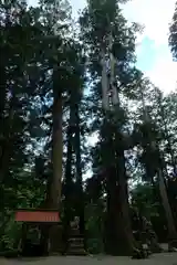 白山中居神社(岐阜県)