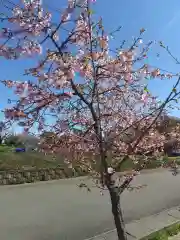 大宮住吉神社(埼玉県)