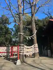 多摩川浅間神社(東京都)