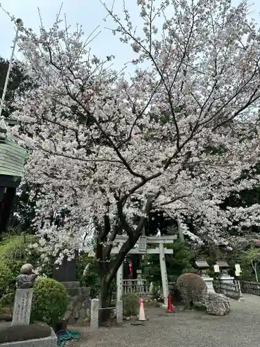 亀ケ池八幡宮(神奈川県)