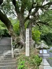 玉祖神社の自然