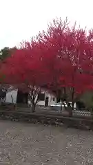 大田原神社の自然