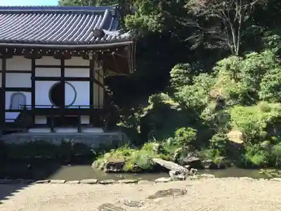 根来寺の本殿・本堂