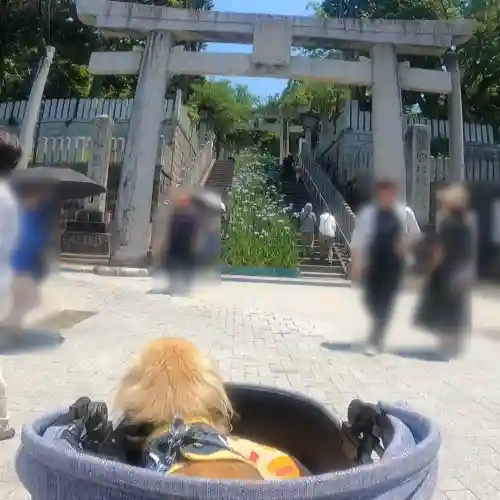宮地嶽神社(福岡県)