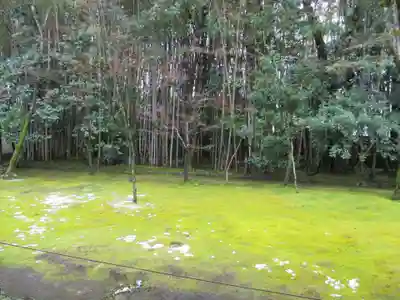 高桐院(京都府)