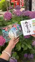 御霊神社の御朱印