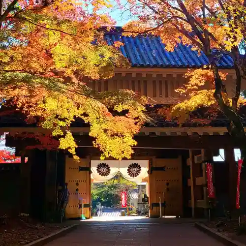 目の霊山　油山寺(静岡県)