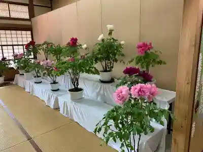 秋葉總本殿可睡斎(静岡県)