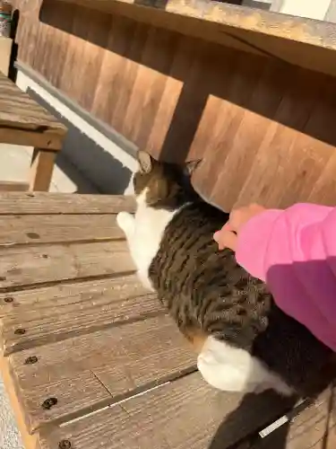 一宮神社(福岡県)