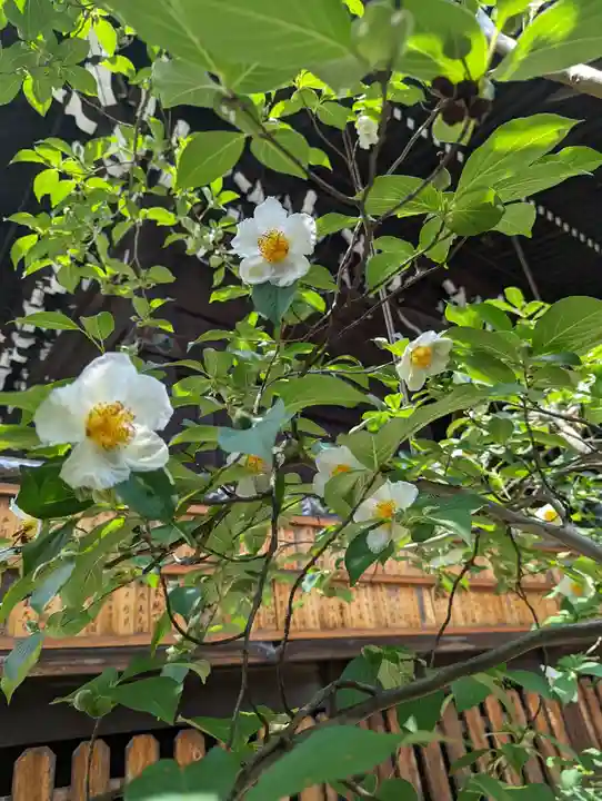 平等寺(因幡堂)(京都府)