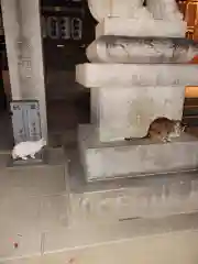 石切劔箭神社の動物