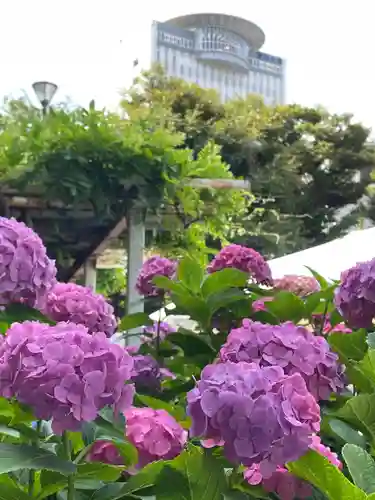 白山神社(東京都)