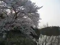 あやめ池神社の自然