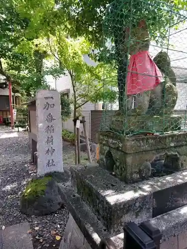 一加番稲荷神社の狛犬