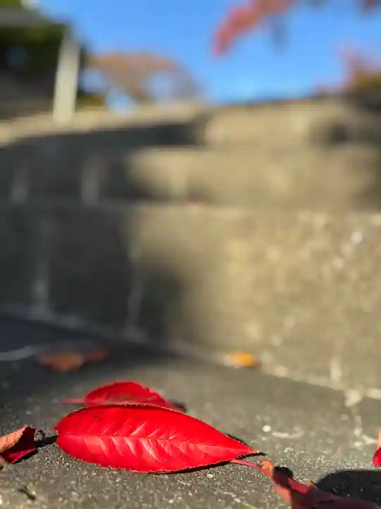 遍照寺(兵庫県)