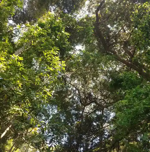 鉢形鷲神社の自然