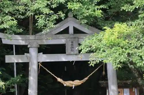 日枝神社の鳥居