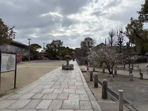 四天王寺(大阪府)