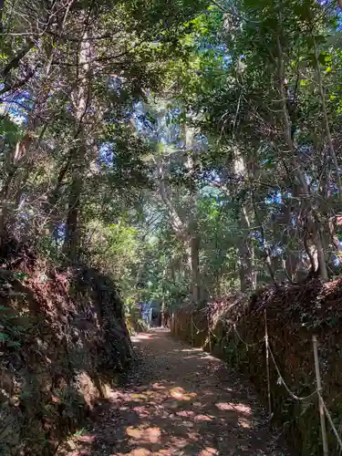伊射波神社の自然