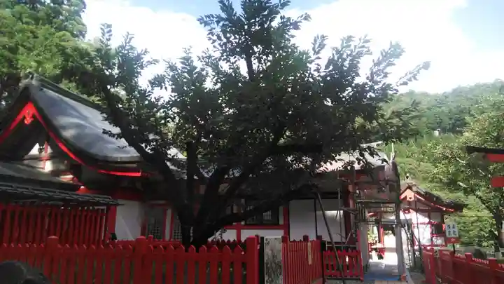 金櫻神社のその他建物