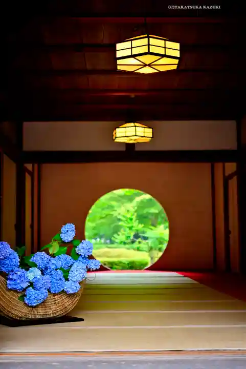 明月院(神奈川県)