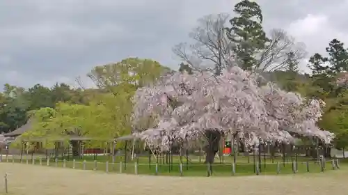 賀茂別雷神社（上賀茂神社）の庭園