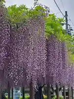 日吉神社(東京都)