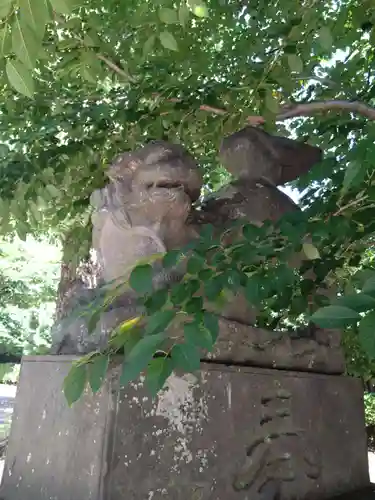 鷲宮神社の狛犬