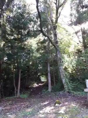 倉澤神社の自然