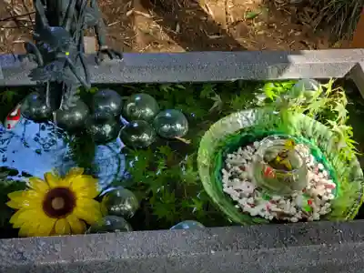 下野 星宮神社(栃木県)