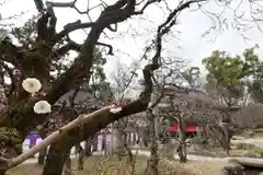 北野天満宮の建物その他