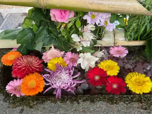 勝林寺(京都府)