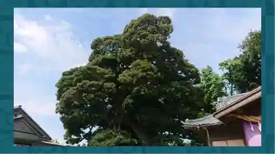 九重神社(埼玉県)